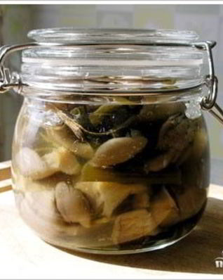 Маринованные вешенки в мультиварке