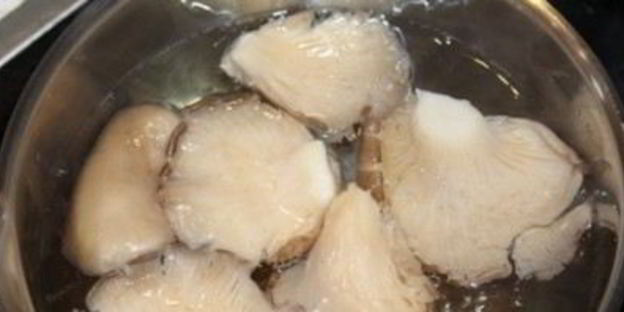 маринованные вешенки в мультиварке