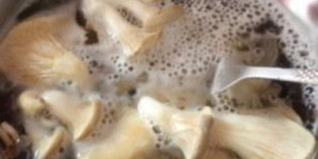 маринованные вешенки в мультиварке