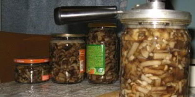 маринованные вешенки в мультиварке