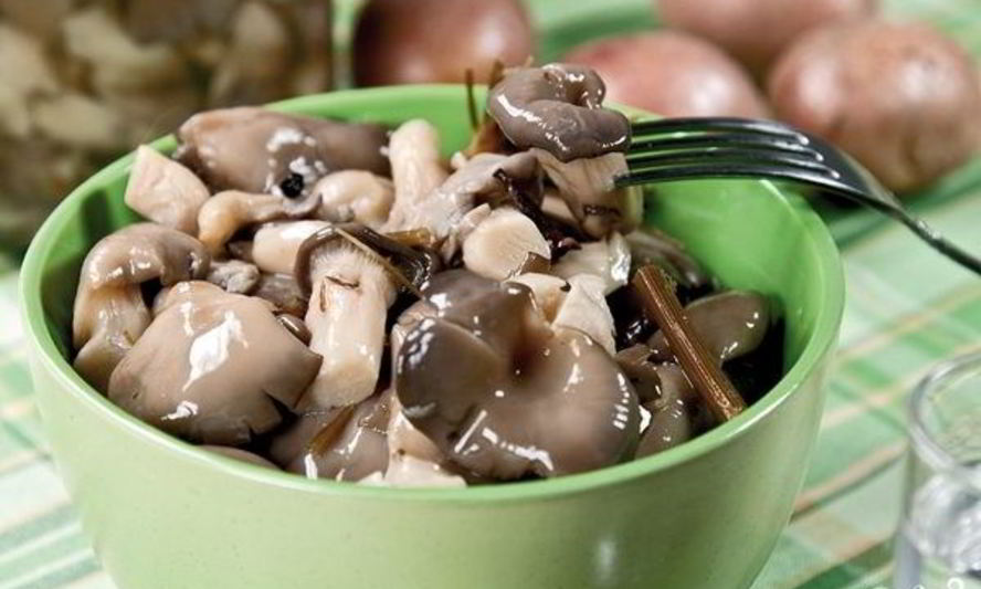 Рецепт маринованных вешенок за сутки