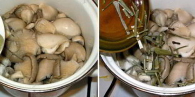 маринованные вешенки за сутки