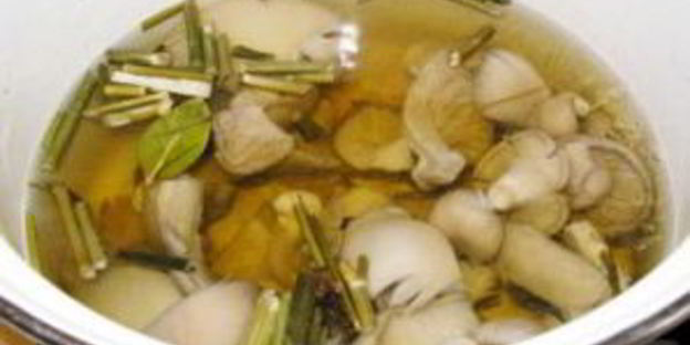 маринованные вешенки за сутки