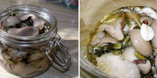 маринованные вешенки за сутки