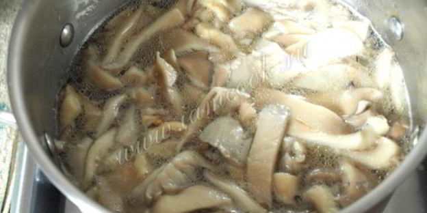 маринованные вешенки