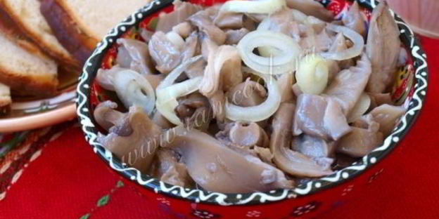 маринованные вешенки