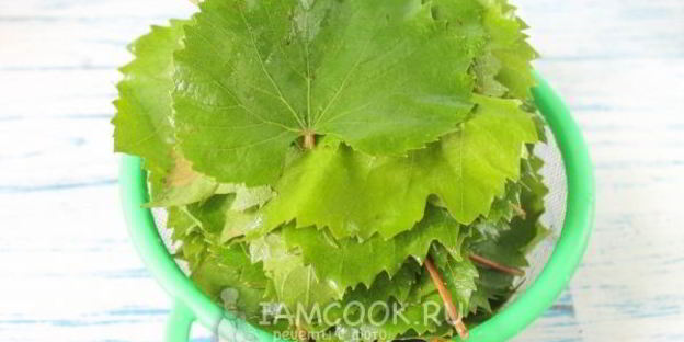 маринованные виноградные листья на зиму