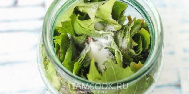 маринованные виноградные листья на зиму
