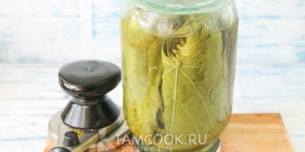 маринованные виноградные листья на зиму