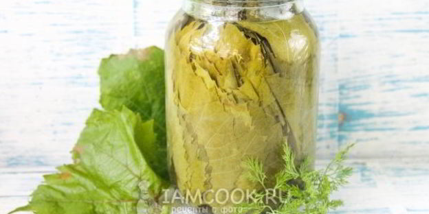 маринованные виноградные листья на зиму