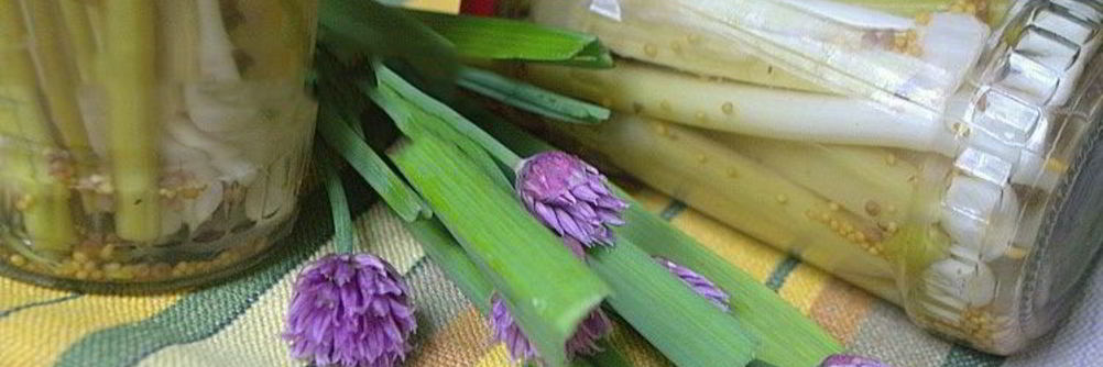 Молодой чеснок маринованный