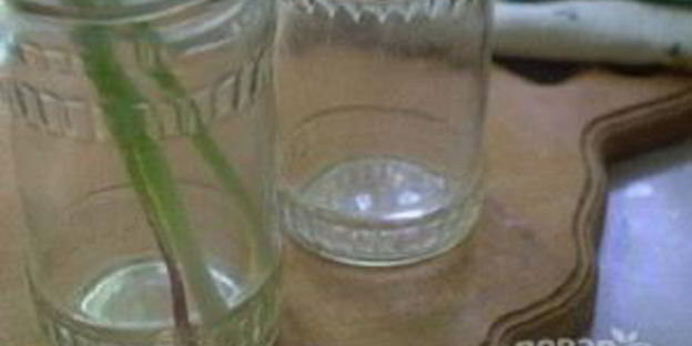 молодой чеснок маринованный