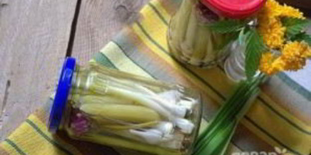 молодой чеснок маринованный