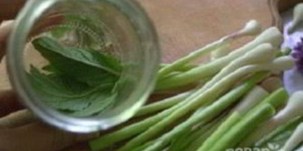 молодой чеснок маринованный