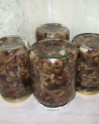 Опята, маринованные в банках