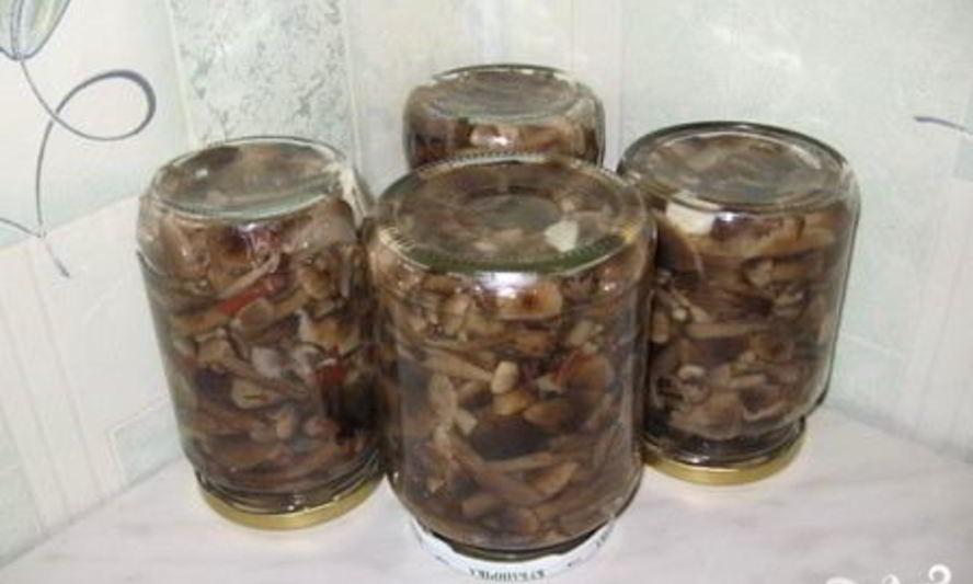 Рецепт опят, маринованных в банках