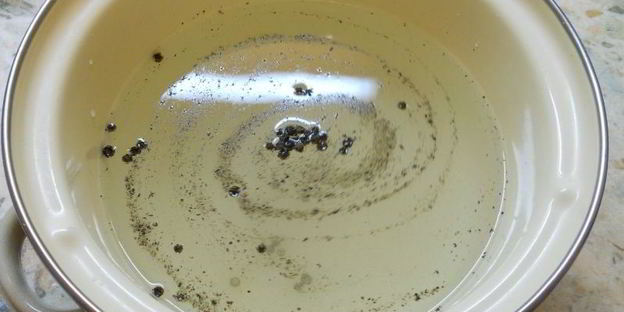 острая маринованная капуста