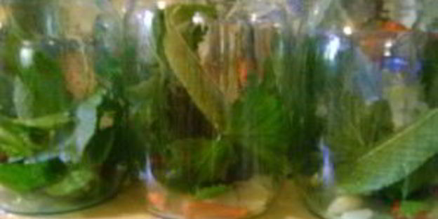 патиссоны, маринованные на зиму