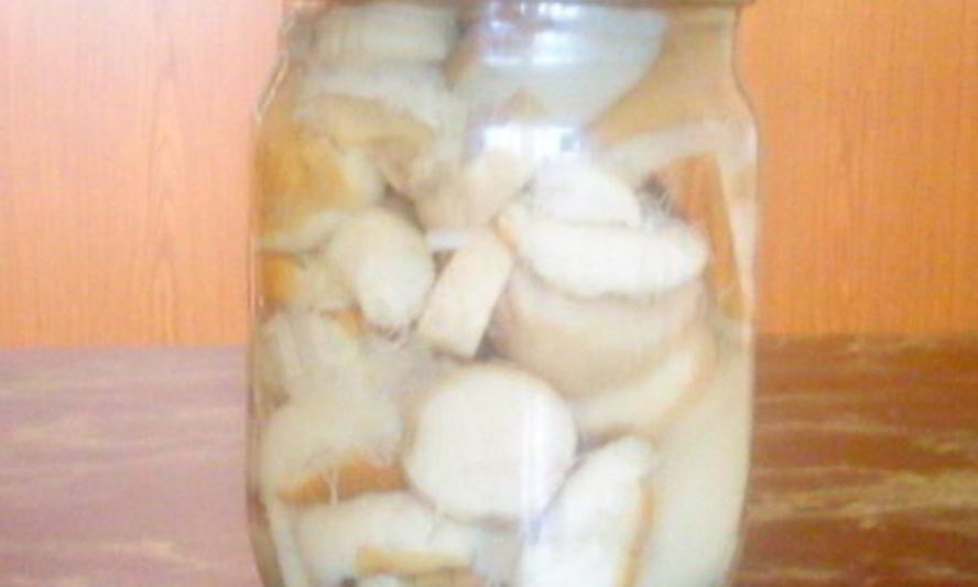 Рецепт свежих маринованных грибочков на зиму