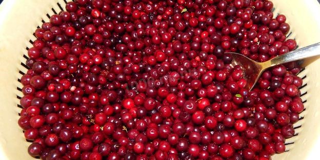 моченая брусника на зиму