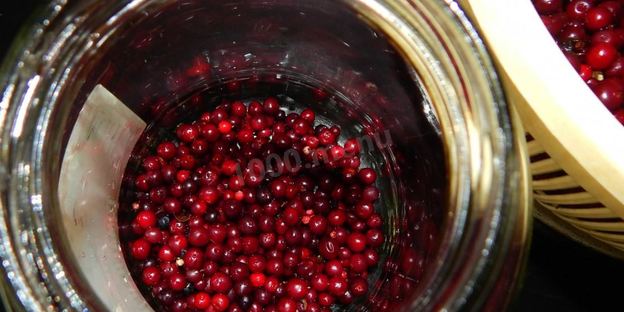 моченая брусника на зиму