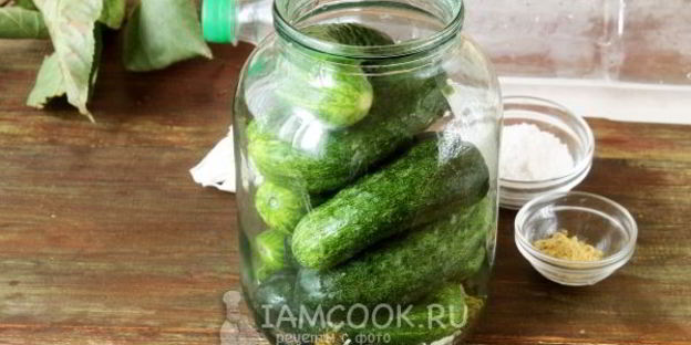 огурцы холодным способом на зиму