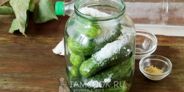 огурцы холодным способом на зиму