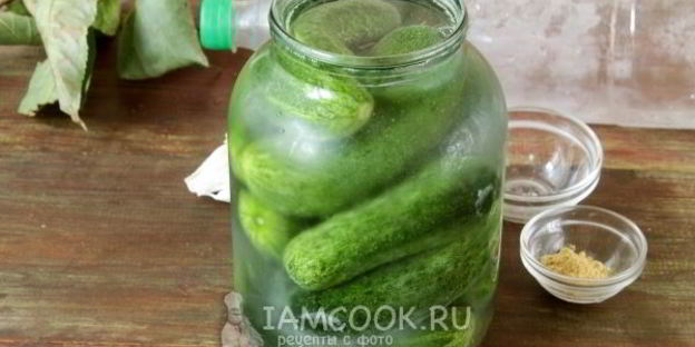 огурцы холодным способом на зиму