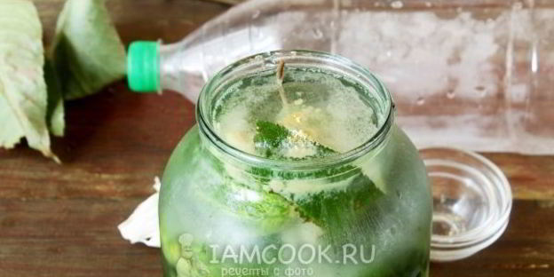 огурцы холодным способом на зиму