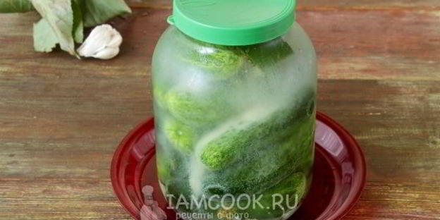 огурцы холодным способом на зиму