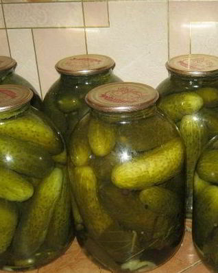 Огурцы в банку на зиму
