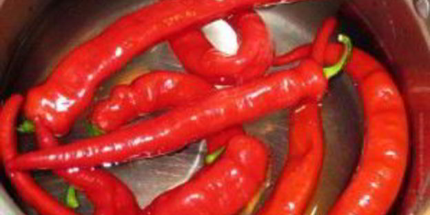 перец чили на зиму