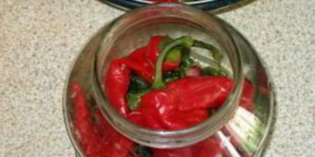 перец чили на зиму