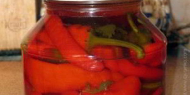 перец чили на зиму