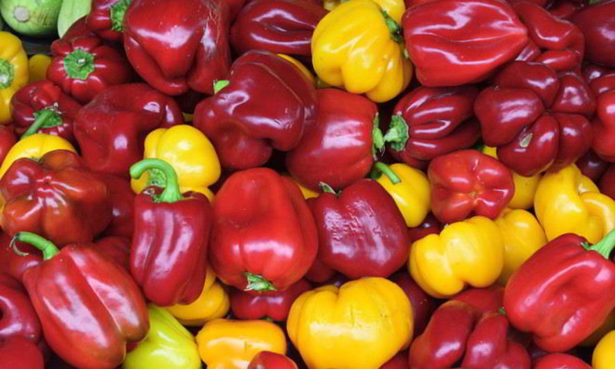 Рецепт перца с медом