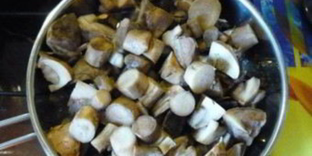 подберезовики, жареные на зиму