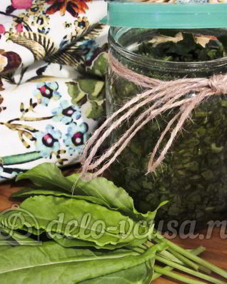 Щавель с солью на зиму