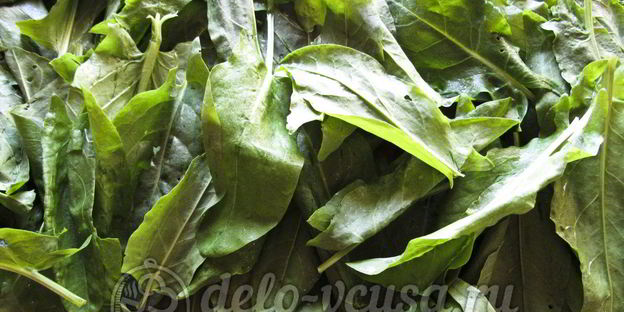 щавель с солью на зиму