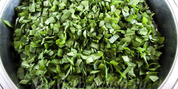 щавель с солью на зиму