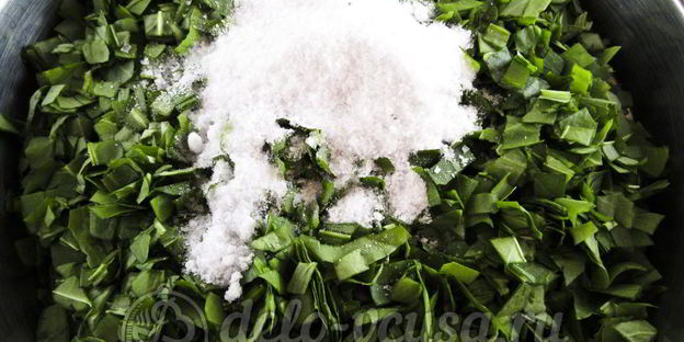 щавель с солью на зиму