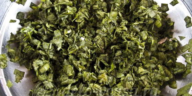 щавель с солью на зиму