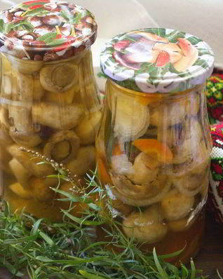 Шампиньоны на зиму