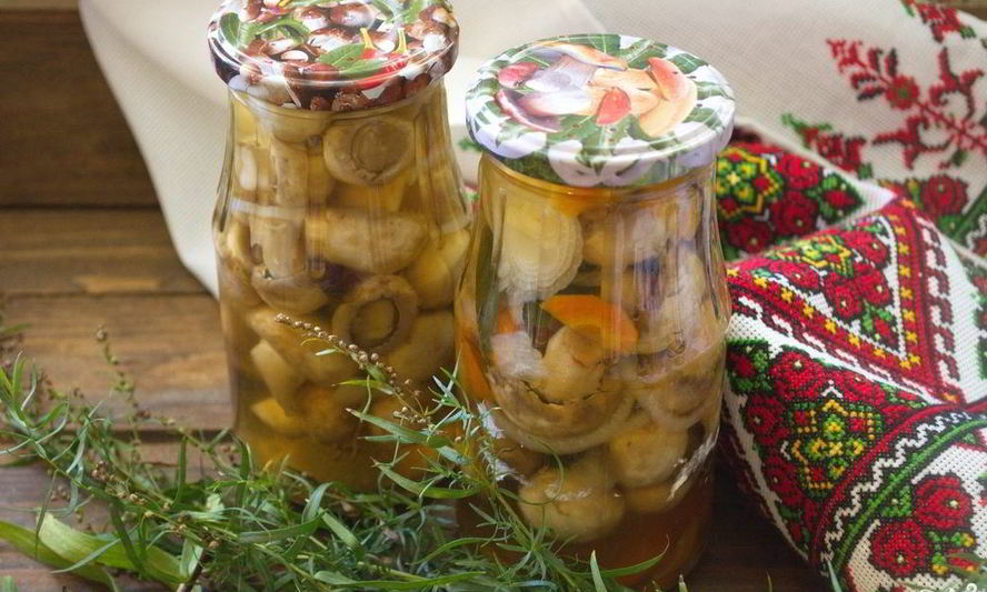 Рецепт шампиньонов на зиму