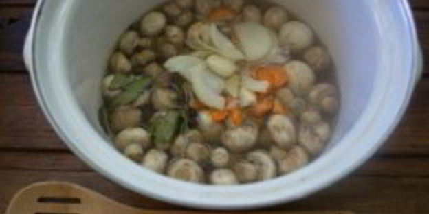 шампиньоны на зиму