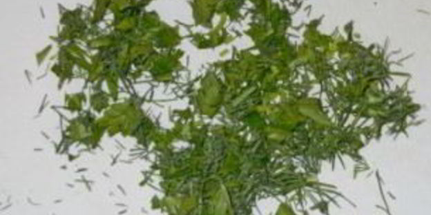 соленые огурцы без закатки на зиму