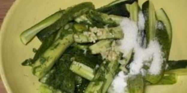 соленые огурцы без закатки на зиму