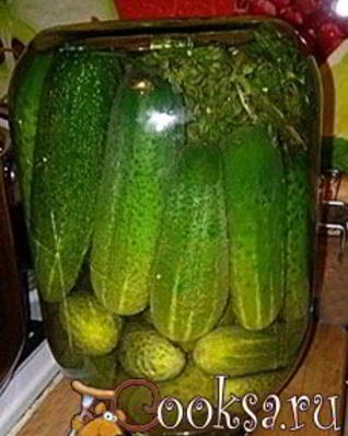 Соленые огурцы на зиму