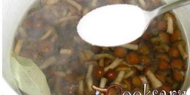 соленые опята на зиму