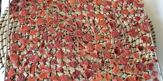 сушеные клубника, земляника, вишня и малина