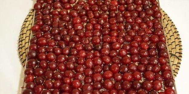 сушеные клубника, земляника, вишня и малина